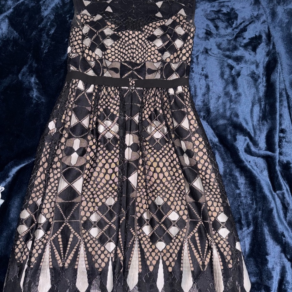 Elegant Black and Nude Lace Dress